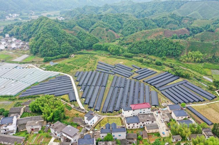 重大工程_黄山纪录小康工程数据库
