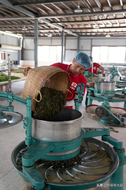 勐海茶厂构建的普洱茶绿色设计数据库,可通过分析不同原料,种植方式
