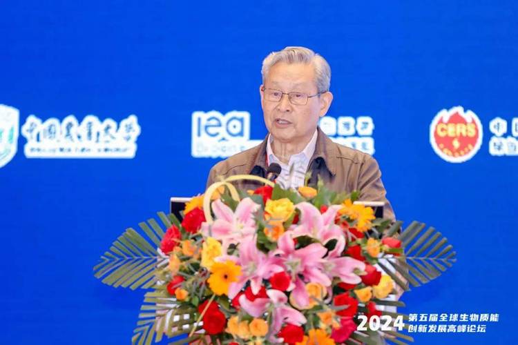 杜祥琬院士:绿色革命新篇章,提高生物质能战略地位势在必