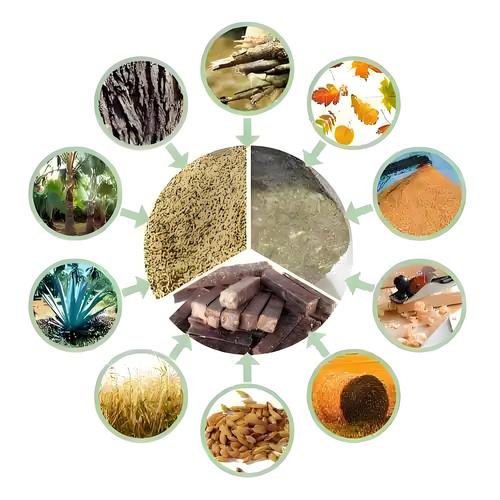 燃煤耦合生物质发电:预处理系统助力打造能源生态系统